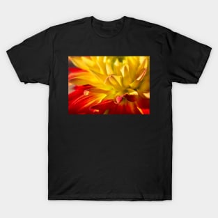 Dahlia T-Shirt